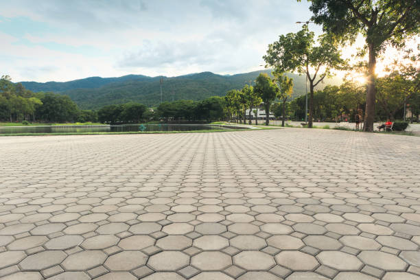 Best Professional Driveway Pavers  in Centrevle, IL